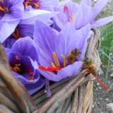 Due api fanno provvista di polline nel cesto con i fiori
